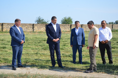 İcra başçısı taxıl biçini tanış olub.