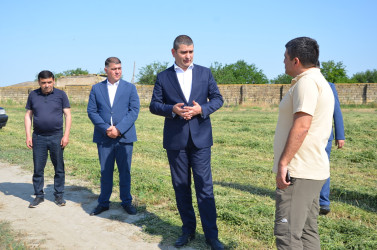 İcra başçısı taxıl biçini tanış olub.
