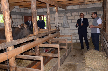 İcra başçısı Şilyan kənd sakini Kənan Rəhimova məxsus ferma ilə tanış olub