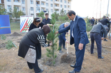 "Konstitusiya və Suverenlik ili" və 8 Noyabr – Zəfər Gününün 5-ci ildönümü münasibətilə silsilə tədbirlər çərçivəsində Kürdəmir rayonunun Xırdapay kəndində ağacəkmə aksiyası təşkil olunub.