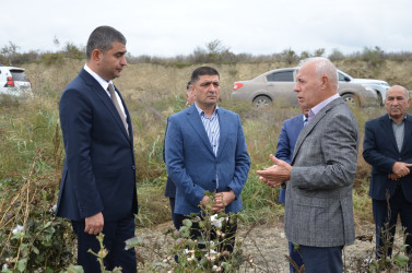Kürdəmir rayonunun icra başçısı pambıq sahəsinə və pambıq yığımına baxış keçirib.