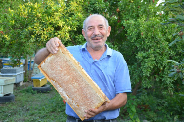İcra başçısı arıçılıq təsərrüfatı ilə tanış olub.